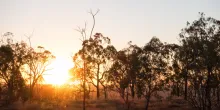 Sunrise view causing lens flare at Porcupine Gorge in Queensland, Australia