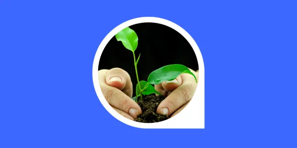 The front cover of Financial Advice Reform and Help, Guidance and Advice