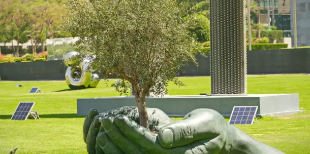 Statue of hands in a cup shape, with an olive tree growing from the center.