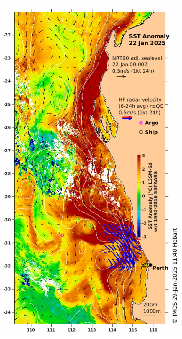 WordPress Image 111254486