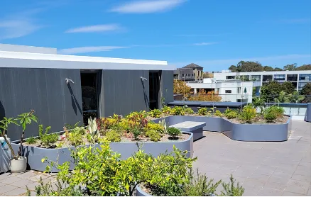 WordPress Image 111250581