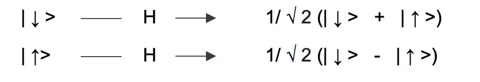 WordPress Image 111252297