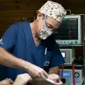 Doctor wearing mask performing surgery