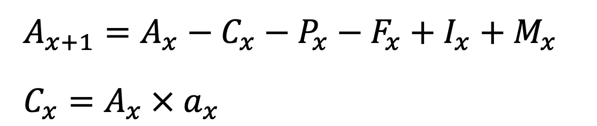 Unbundled lifetime income stream equation