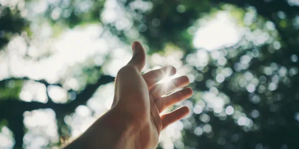 close up of hand reaching to the sky with trees in background