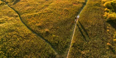 aerial view of green landscape with diverting paths, with couple walking on one path