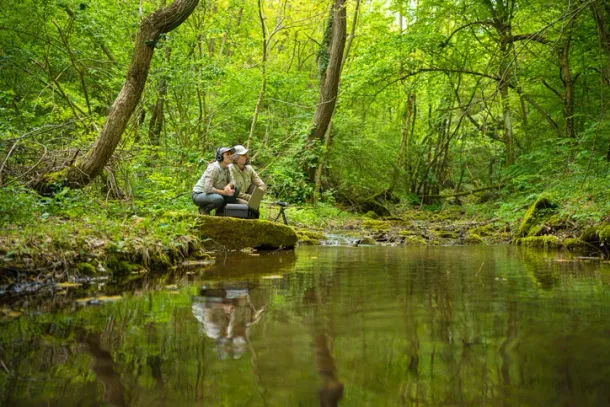 Sustainability practices-noninvasive recording of environmental sounds. AI-driven field-based studies using ecoacoustic approaches to effectively survey biodiversity in terrestrial and marine ecosystems and restorative environments.
