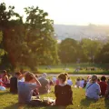 Various groups of people sit on a grassy hill in the sun